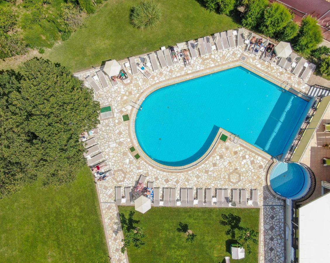 Palmyra Hotel 3*